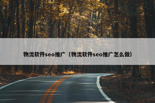 物流软件seo推广（物流软件seo推广怎么做）