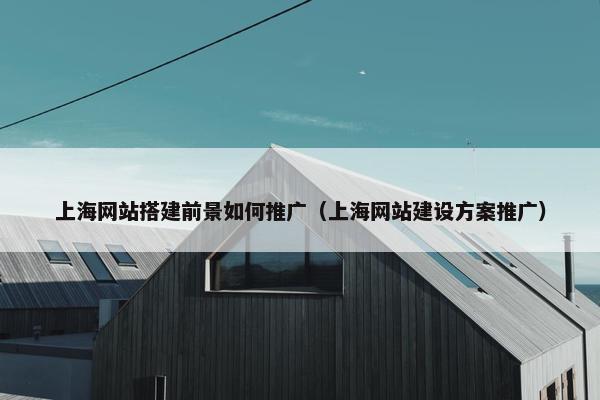 上海网站搭建前景如何推广（上海网站建设方案推广）