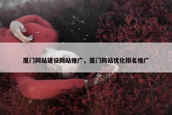 厦门网站建设网站推广，厦门网站优化排名推广