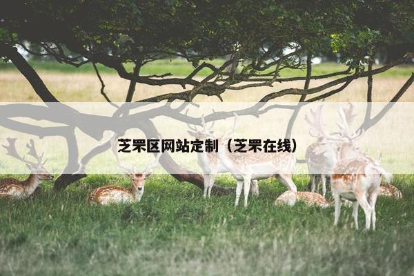 芝罘区网站定制（芝罘在线）