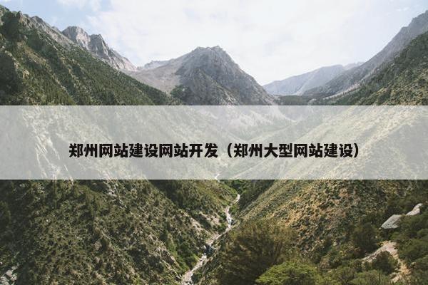 郑州网站建设网站开发（郑州大型网站建设）