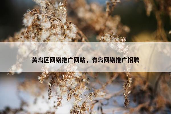 黄岛区网络推广网站，青岛网络推广招聘