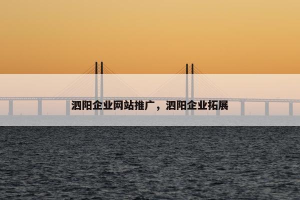 泗阳企业网站推广，泗阳企业拓展