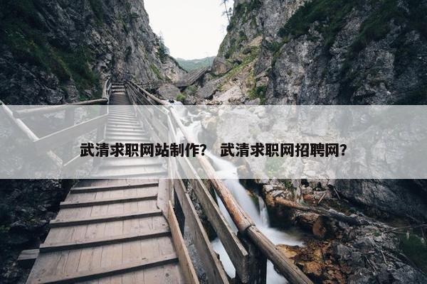 武清求职网站制作？ 武清求职网招聘网？