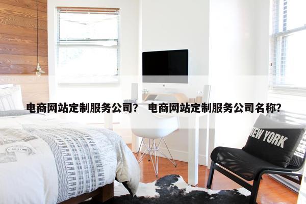 电商网站定制服务公司？ 电商网站定制服务公司名称？