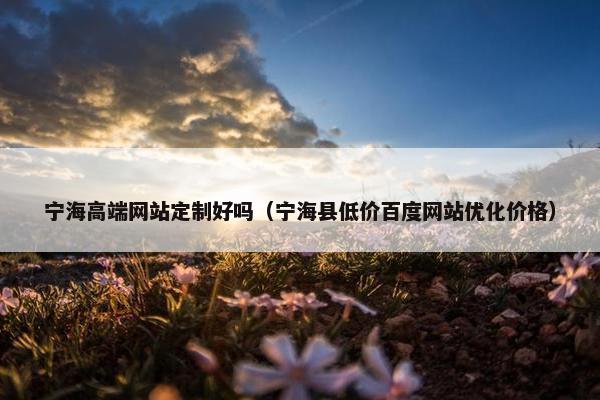 宁海高端网站定制好吗（宁海县低价百度网站优化价格）