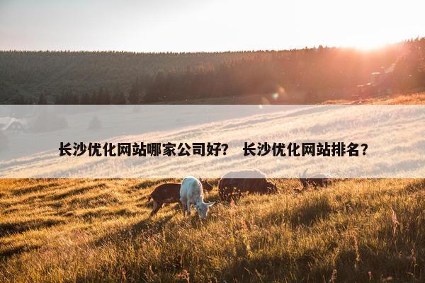 长沙优化网站哪家公司好？ 长沙优化网站排名？