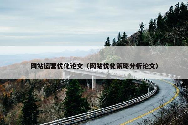 网站运营优化论文（网站优化策略分析论文）