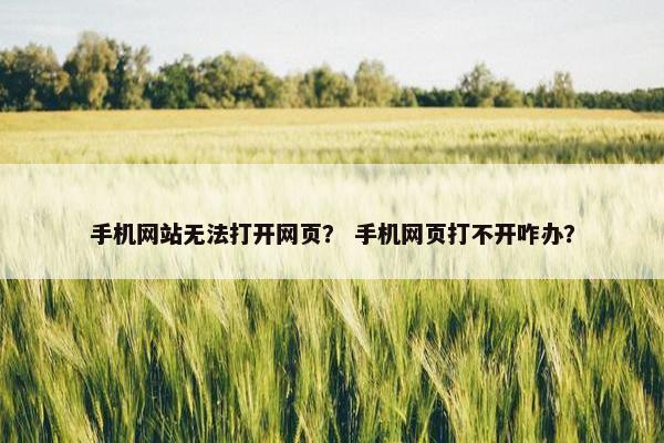 手机网站无法打开网页？ 手机网页打不开咋办？