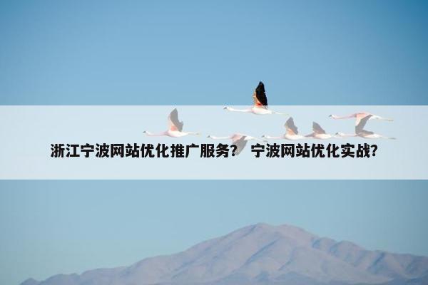 浙江宁波网站优化推广服务？ 宁波网站优化实战？