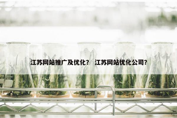 江苏网站推广及优化？ 江苏网站优化公司？