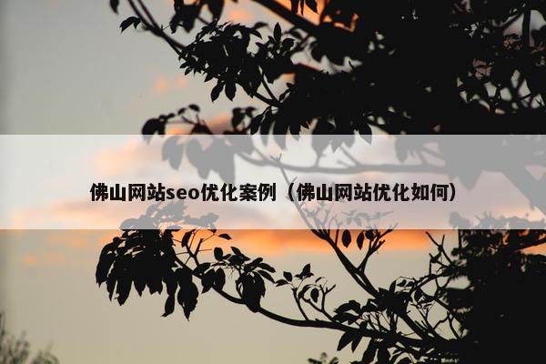 佛山网站seo优化案例（佛山网站优化如何）