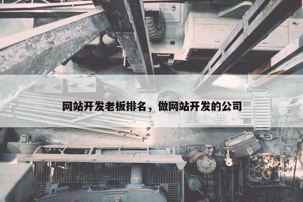 网站开发老板排名，做网站开发的公司