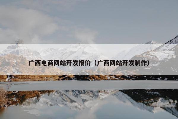 广西电商网站开发报价（广西网站开发制作）