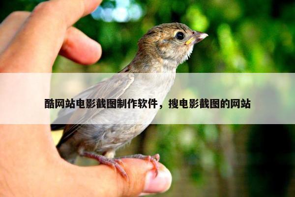 酷网站电影截图制作软件，搜电影截图的网站