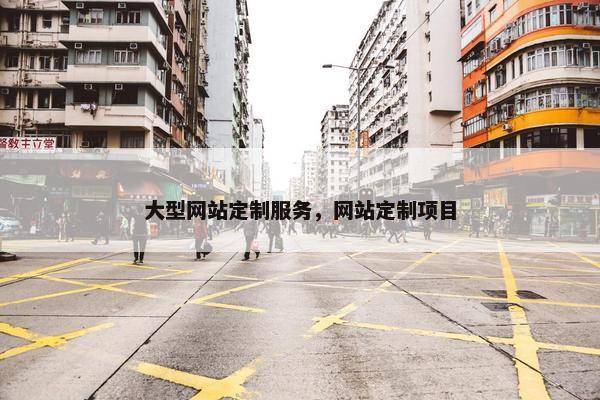 大型网站定制服务，网站定制项目