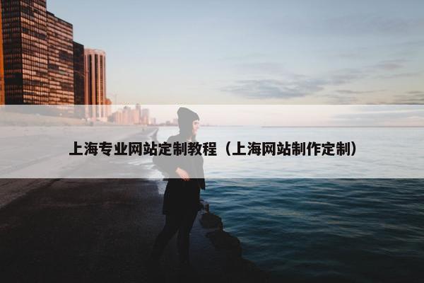 上海专业网站定制教程（上海网站制作定制）