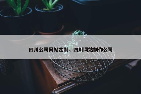 四川公司网站定制，四川网站制作公司