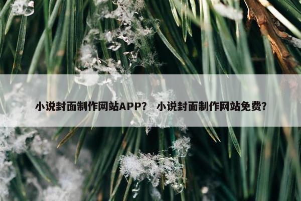 小说封面制作网站APP？ 小说封面制作网站免费？