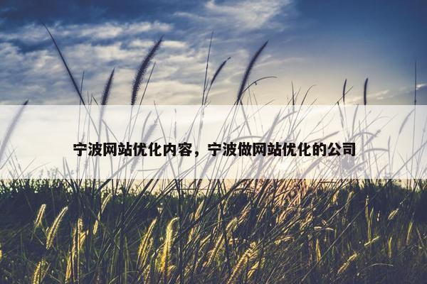 宁波网站优化内容，宁波做网站优化的公司