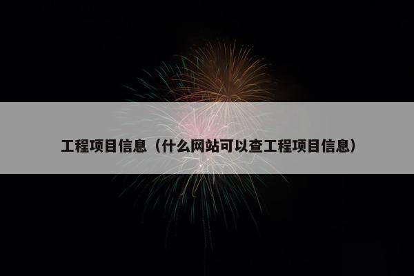 工程项目信息（什么网站可以查工程项目信息）