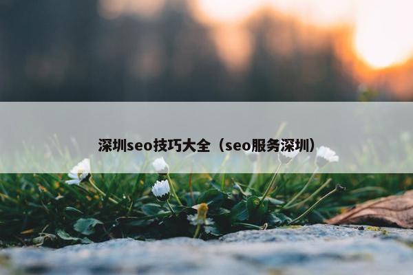 深圳seo技巧大全（seo服务深圳）