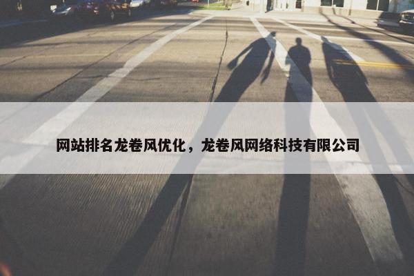 网站排名龙卷风优化，龙卷风网络科技有限公司