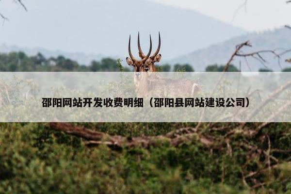 邵阳网站开发收费明细（邵阳县网站建设公司）