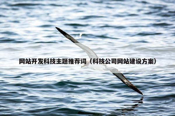 网站开发科技主题推荐词（科技公司网站建设方案）