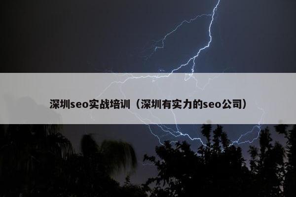深圳seo实战培训（深圳有实力的seo公司）