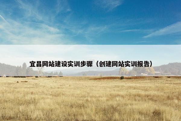 宜昌网站建设实训步骤（创建网站实训报告）
