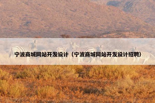 宁波商城网站开发设计（宁波商城网站开发设计招聘）