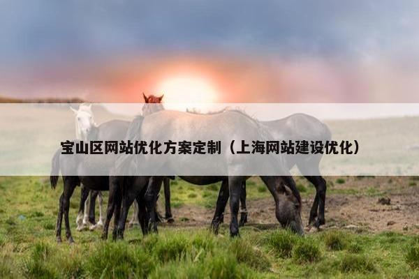 宝山区网站优化方案定制（上海网站建设优化）