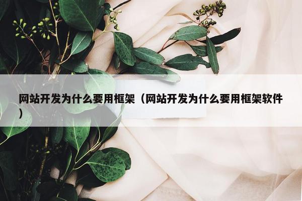 网站开发为什么要用框架（网站开发为什么要用框架软件）