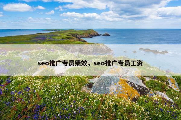 seo推广专员绩效，seo推广专员工资
