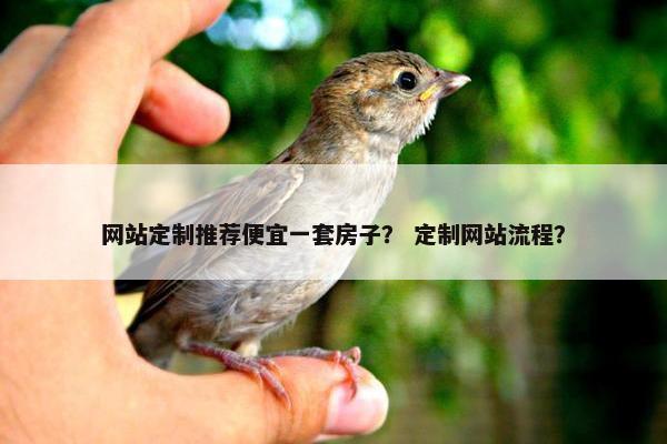 网站定制推荐便宜一套房子？ 定制网站流程？