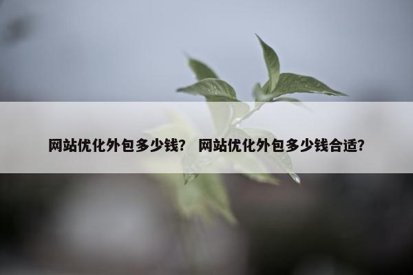 网站优化外包多少钱？ 网站优化外包多少钱合适？