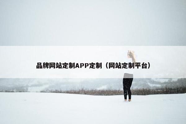 品牌网站定制APP定制（网站定制平台）