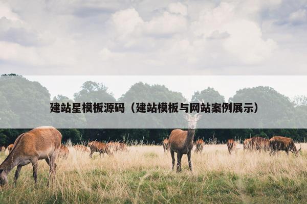 建站星模板源码（建站模板与网站案例展示）