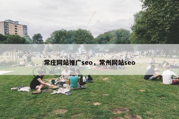 常庄网站推广seo，常州网站seo