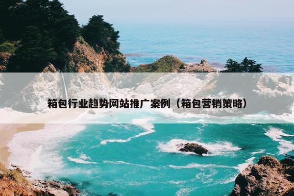 箱包行业趋势网站推广案例（箱包营销策略）