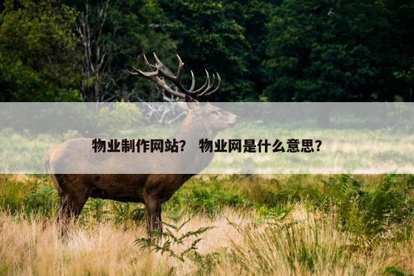 物业制作网站？ 物业网是什么意思？