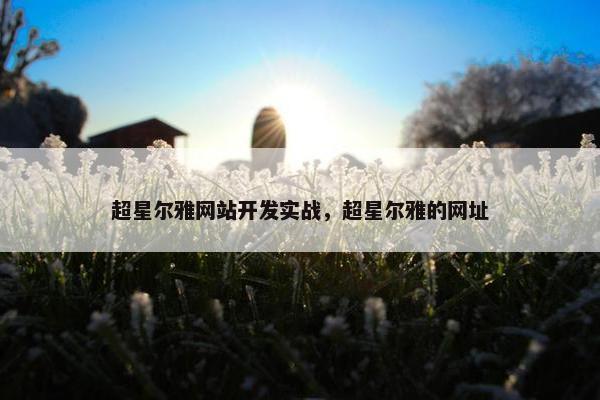 超星尔雅网站开发实战，超星尔雅的网址