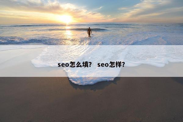seo怎么填？ seo怎样？