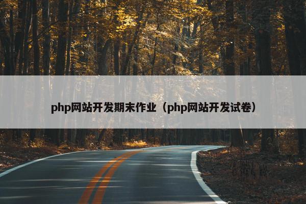 php网站开发期末作业（php网站开发试卷）