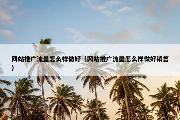 网站推广流量怎么样做好（网站推广流量怎么样做好销售）