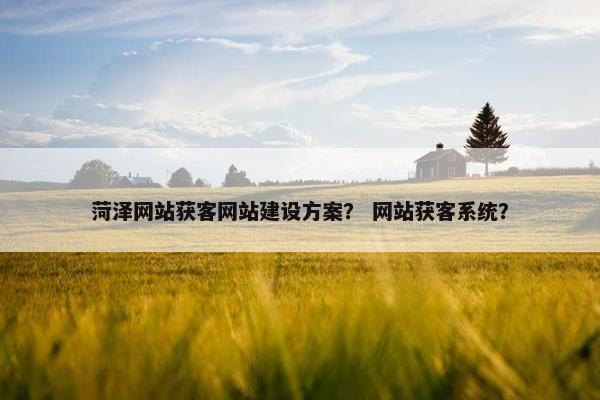 菏泽网站获客网站建设方案？ 网站获客系统？