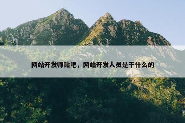 网站开发师贴吧，网站开发人员是干什么的