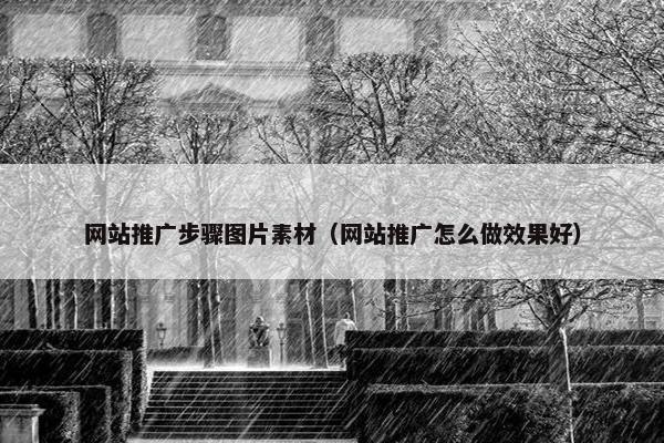 网站推广步骤图片素材（网站推广怎么做效果好）