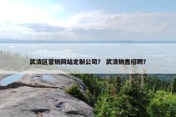 武清区营销网站定制公司？ 武清销售招聘？